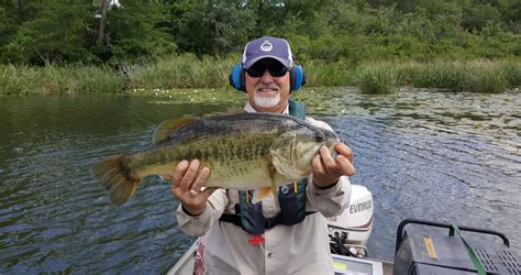 fish consulting|SOLitude Lake Management Information .